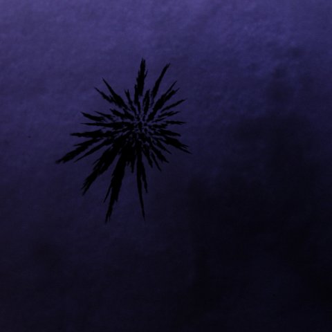 IMG-9039.JPG