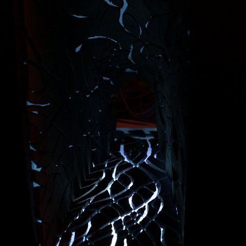 IMG-9102.JPG