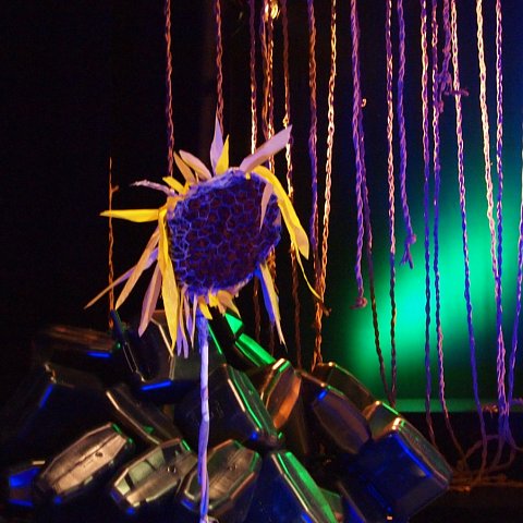 P1220764.JPG