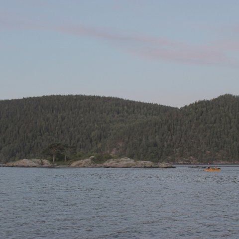IMG-0468.JPG