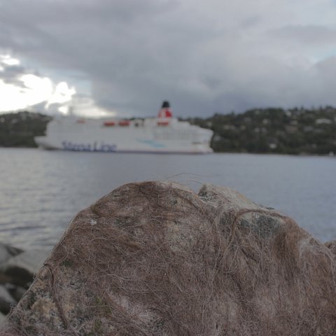IMG-0554.JPG