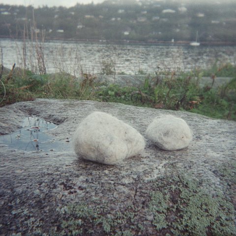 imm003-1A.jpg
