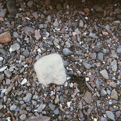 imm006-4A.jpg