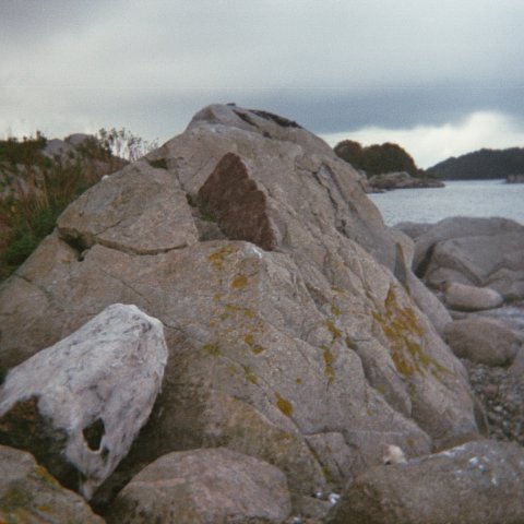 imm008-8A.jpg