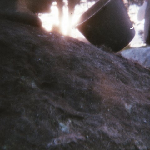 imm009-7A.jpg