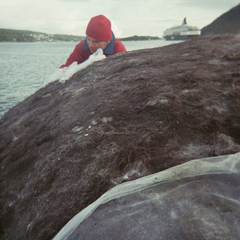 imm012-10A.jpg