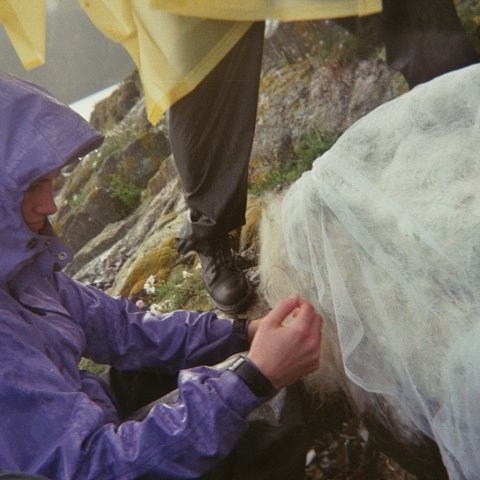 imm016-16A.jpg